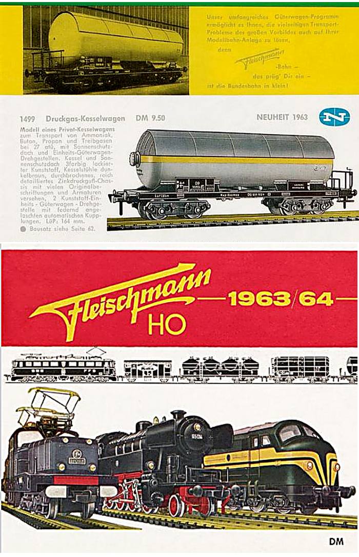 Fleisch new 1963p53